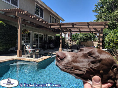 Carpenter Jobs Orange County 124